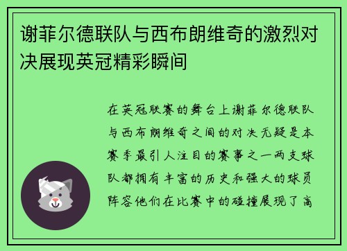 谢菲尔德联队与西布朗维奇的激烈对决展现英冠精彩瞬间