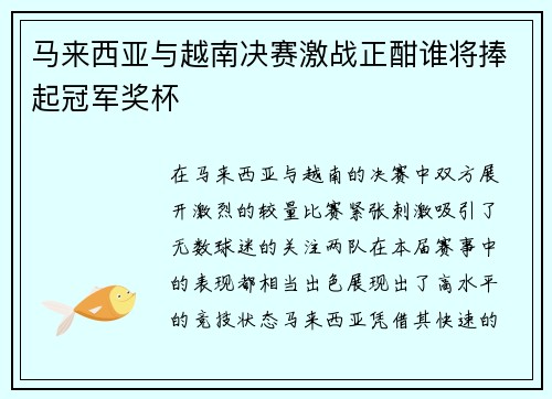 马来西亚与越南决赛激战正酣谁将捧起冠军奖杯